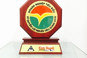 typical-business-award-for-consumer-rights-in-2016-cn