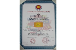 chicilon-media-was-voted-as-a-strong-asean-brand-cn